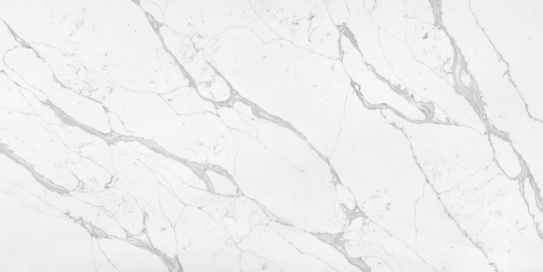 Michelangelo Quartz